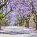 원당동물병원 이미지