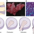신제일의원 이미지