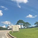 오크밸리 드라이빙레인지 | 오크밸리 드라이빙 레인지 이용 후기(천연잔디 타석, 숏게임 연습장)