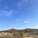 안중농협주유소 이미지