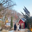 별빛정원B | 가평 가볼 만한 곳 추천! 더 스테이 힐링파크 별빛 정원, 와일드 가든 입장료, 운영시간 및 실제 방문 후기