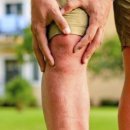 멍이랑 양이랑 이미지