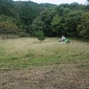 예스메디컬 이미지