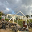 웨스트하우스(West House) | 제주 애월 오션뷰 카페 추천 ‘웨스트비치’ (실내 애견동반 가능)