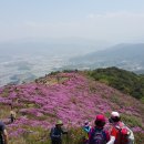 봉화산 Daum카페