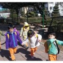 가락태권도 이미지