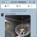 군산24시 제일동물병원 이미지