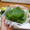 구월동 족발 맛집 구월시장 해원왕족발 양도 많고 맛나네요