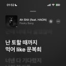 팔리아치