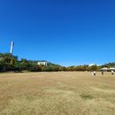 보동이네 이미지