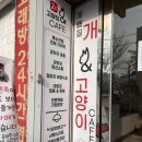 예뻐질 : 개 네이버블로그