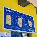 [강원도 동해] &#39;무릉별유천지&#39; 6월 라벤더축제 끝나고 방문한 후기!