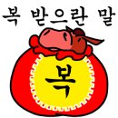 26썬팅
