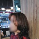 미시헤어 이미지