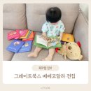 코알라 | 두돌아기 전집추천 그레이트북스 베베코알라 솔직후기 가격 중고 구입 시기 추피와 비교까지!
