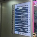 대구 지방분해주사,허벅지 하프컷 맞고 허벅지 실종 하기 1일차 후기 (위치,통증,시술)