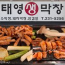 마산회원구 ⓒ-18 | 마산 삼계 맛집 겉은 바삭하고 쫄깃한 막창 태영 생막창 후기