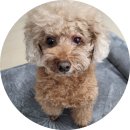 (주)구루픽 이미지