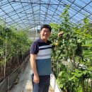 화순농장 케이에스피뉴스