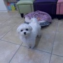 디테일 동물의료센터 이미지