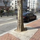 남구-070 | 💐[대구] 남구 대명동 꽃집 "새늘플라워" - 24시 무인꽃집 풍성하고 색감 예쁜 꽃다발 후기