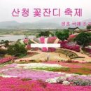 산청 꽃잔디 축제 생초 국제조각공원 이미지