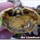 오동도식당 이미지