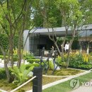 뉴스플라워.조경 이미지