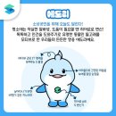 에도리 네이버블로그