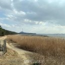 해찬솔길 이미지