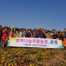 안양농장 이미지