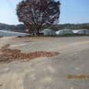 두릉리 경로당 이미지