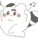 빙고 애견카페 이미지