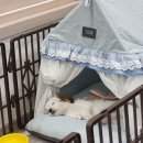 젤리뽀개린이집 이미지