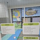 진도대로 | [7살 아이랑] 진도군 키즈카페 "어린이상상놀이터"_진도군가족센터