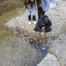 장흥약수펜션 이미지