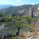 백대명산78차(정기314차) 합천.가야산(1.430M) 정기산행안내 이미지