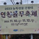 '연천율무축제' 10~12일 전곡리 선사유적지서 열린다 이미지