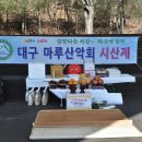 제173차 정기산행겸 시산제(의성 금성산/2025/2/9) 이미지