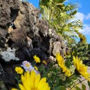 키즈키득펜션 이미지