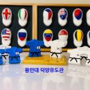 용인대 행복유도관 이미지