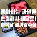 쌍령초등학교 | 경기광주 과일도시락 추천 편하고 맛있는 쌍령동 하복당 후기