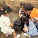 쥬벅스 이미지