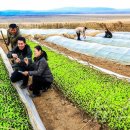 달천농장 이미지