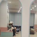 아지트댕댕 이미지