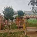 목포중앙초등학교 이미지
