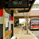 파주시티투어 평화관광(토요일) 이미지