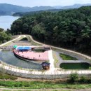 가래울천 이미지