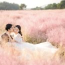 13월의제주
