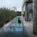 (주)지앤엘 제주썬호텔 | 제주 감성숙소 오카소 제주 내돈내산 후기, 비 오는 날에도 만족했던 제주 풀빌라